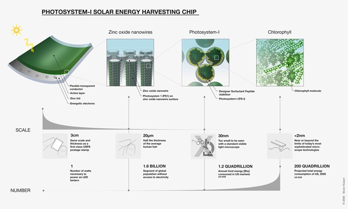 skysolar-mit-creates-solar-cell-from-grass-clippings